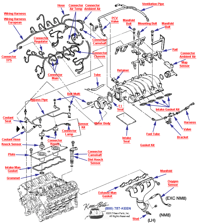 Engine Assembly- Manifolds and Fuel Related-LS1 Diagram for a 1998 Corvette